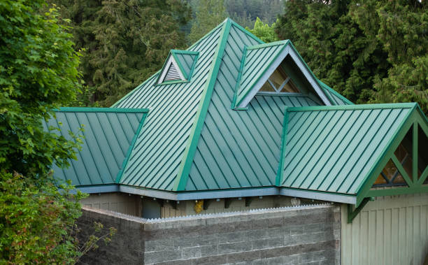 Best Roof Moss and Algae Removal  in Groveport, OH